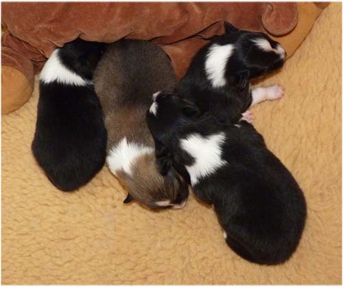 Etwas ausruhen, bevor es wieder los geht !