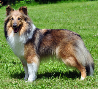 die Mutter, Halle Berry