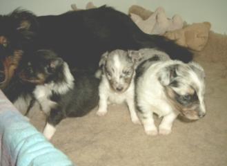 Mutter gibt die Sicherheit bei den Ausflgen