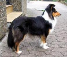 die Mutter, Ayurveda Irish Irina McNeal