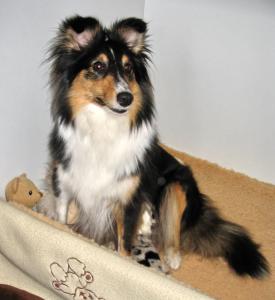 Wollt Ihr mein Baby sehen ? 