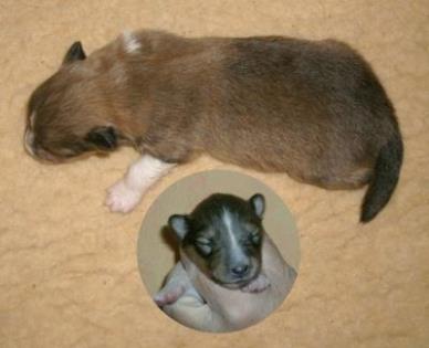 Ayurveda Mutter mit kindern